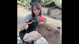 First Shooting/Face Appearance! ! Limited To 3 Days! ! Adorable Minimal Cute Woman ◯ A College Student Is Taken Deep Into The Forest And Ejaculates In Her Mouth! ! He Takes Her Into A Closed Room And Cums Twice Inside Her Immature Body That Trembles With Pleasure! !
